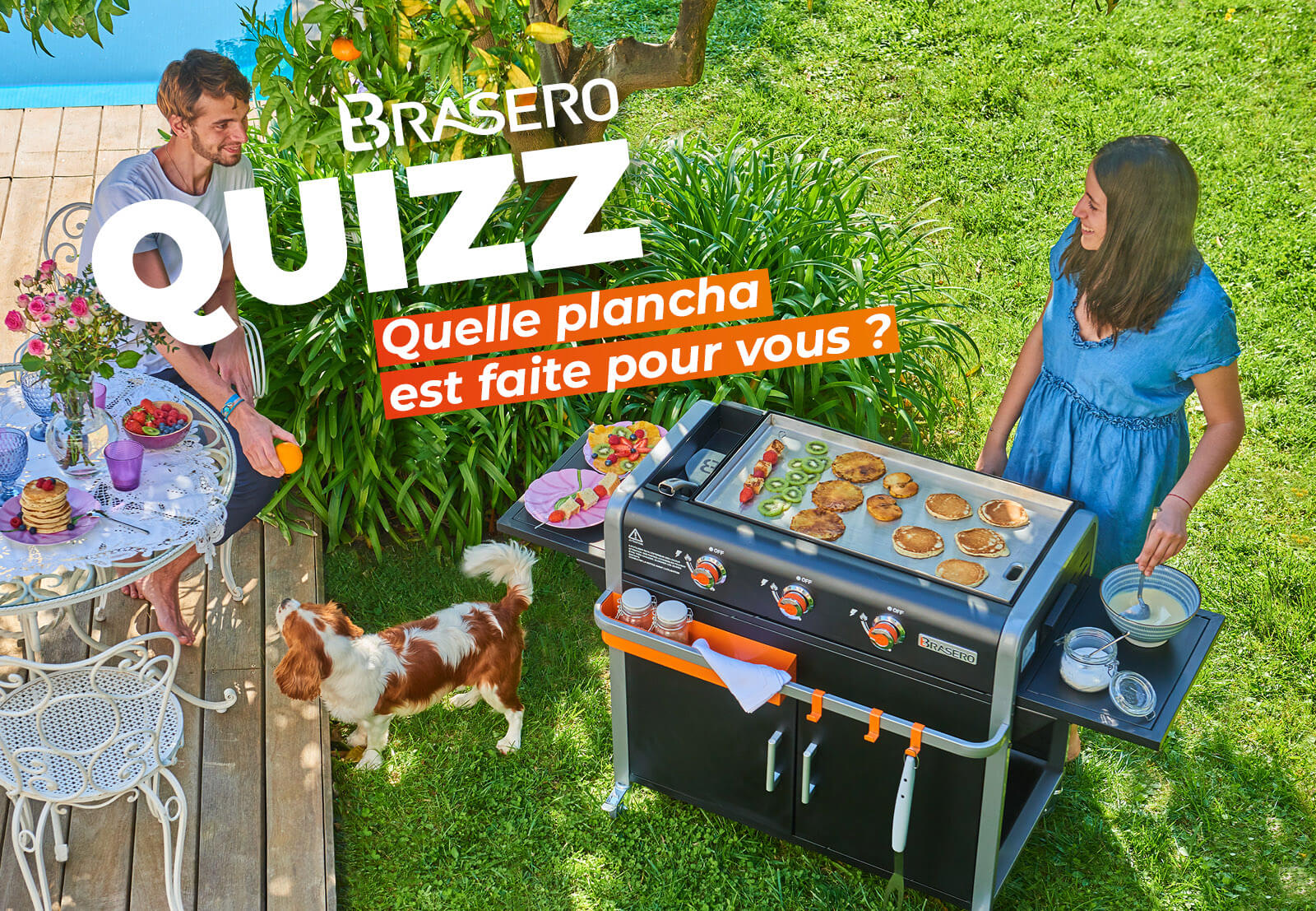 QUELLE PLANCHA EST FAITE POUR VOUS - BRASERO