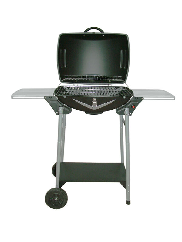 9718102 - BBQ LILOR 8102P-D ALLUMAGE