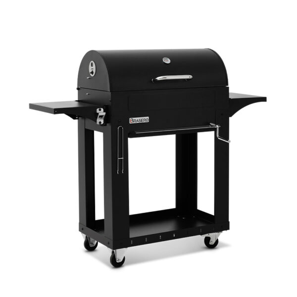 Barbecue Malaga charbon de bois Brasero cuve charbons ajustable en hauteur barbecue charbon Brasero